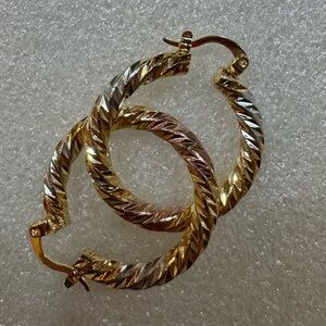 Elegant Gold and Silver Hoop Earrings